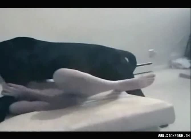 Video: Dog hard banging a woman's pussy in intense dog sex